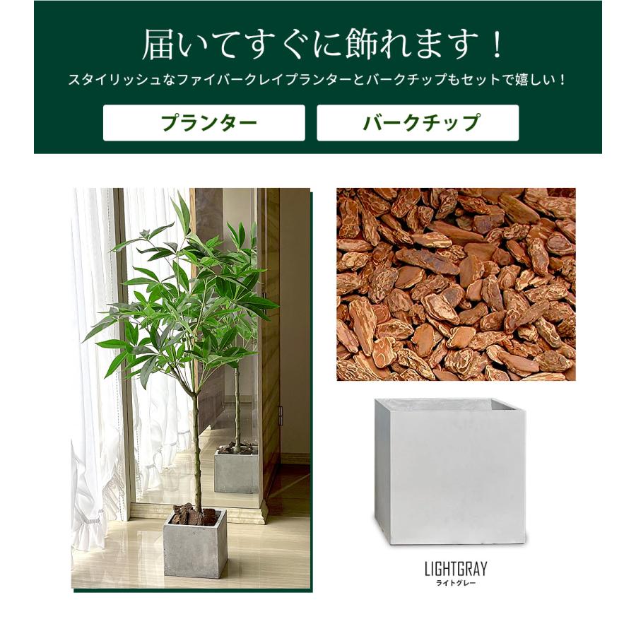 フェイクグリーン 大型 パキラ スリムタイプ 120cm　観葉植物  ファイバークレイ製 プランター & バークチップ付き 無光触媒加工済 フェイク リアル 光触媒｜leben｜17