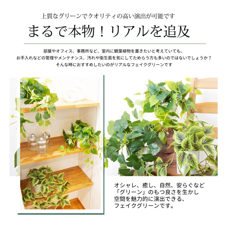光触媒　人工観葉植物　ウォールグリーン　フェイクグリーン　ポトス高さ1.5m リーベン ポトス[斑入り/斑無し] / ぺリラフルテッセンス 選べる3点