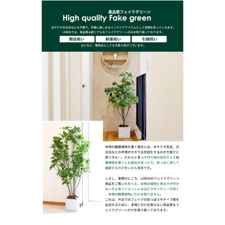 シェフレラ 160cm フェイクグリーン 無光触媒加工済 フェイク リアル 光触媒 CT触媒 ファイバークレイ製 プランターの画像
