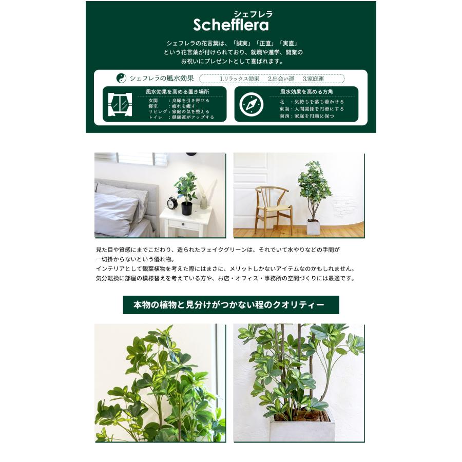 シェフレラ 160cm フェイクグリーン 無光触媒加工済 フェイク リアル 光触媒 CT触媒 ファイバークレイ製 プランターの画像