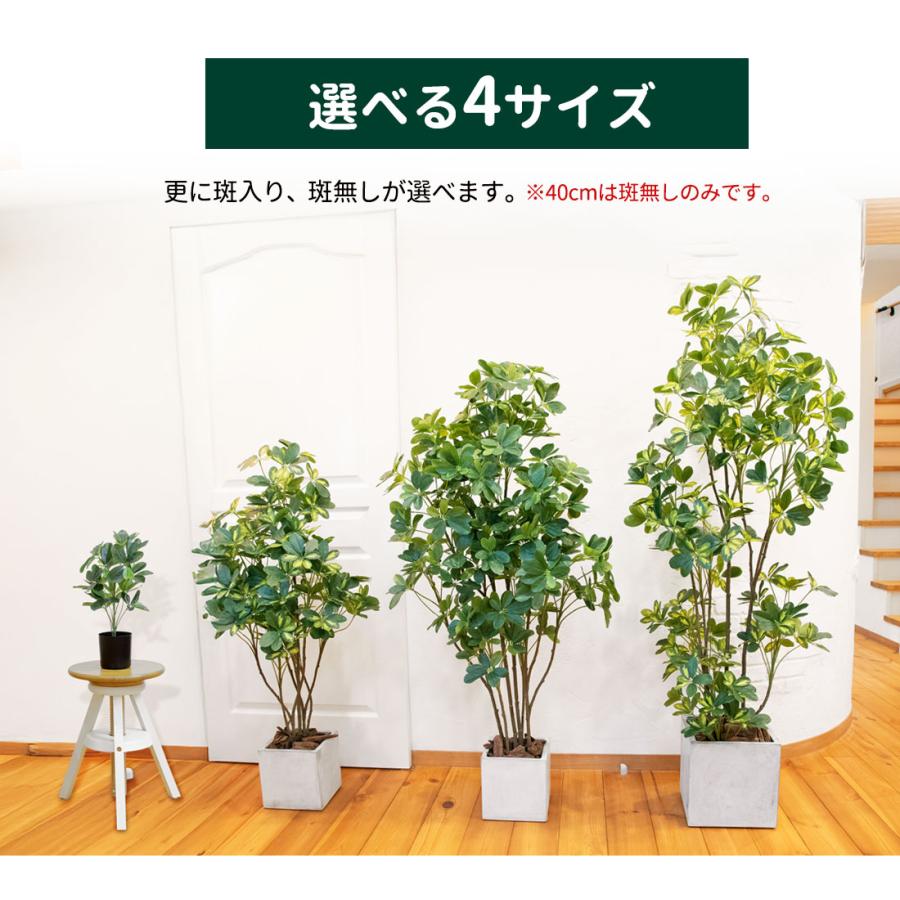 シェフレラ 160cm フェイクグリーン 無光触媒加工済 フェイク リアル 光触媒 CT触媒 ファイバークレイ製 プランターの画像