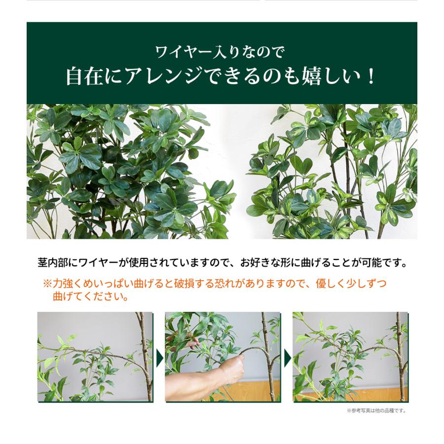 シェフレラ 160cm フェイクグリーン 無光触媒加工済 フェイク リアル 光触媒 CT触媒 ファイバークレイ製 プランターの画像