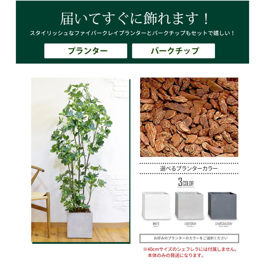 リーベン シェフレラ 160cm フェイクグリーン 無光触媒加工済 フェイク 