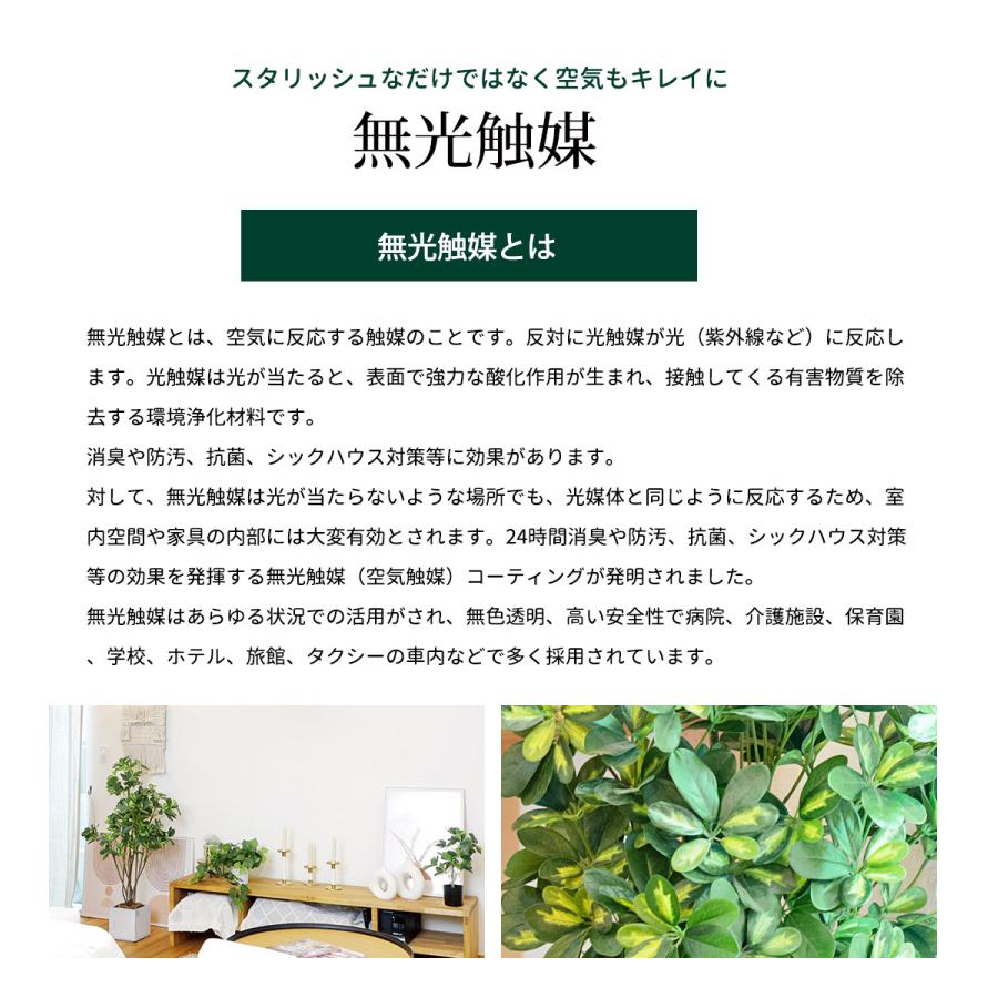 シェフレラ 160cm フェイクグリーン 無光触媒加工済 フェイク リアル 光触媒 CT触媒 ファイバークレイ製 プランターの画像