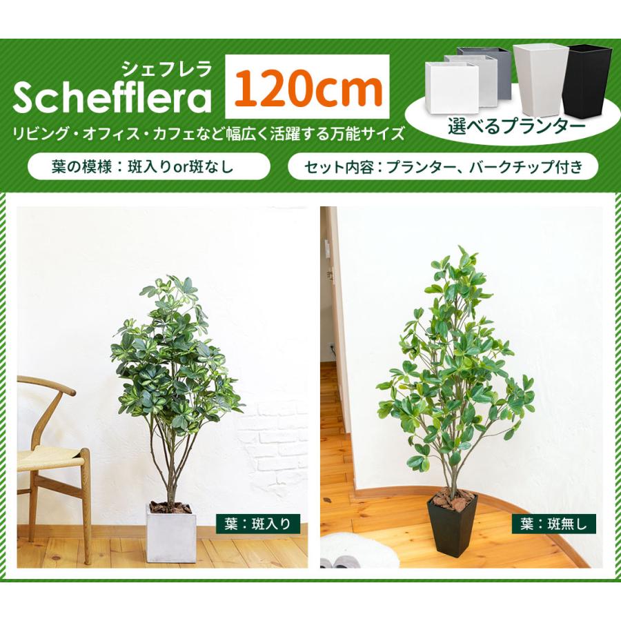 リーベン シェフレラ 40cm フェイクグリーン 小型 観葉植物 ファイバー