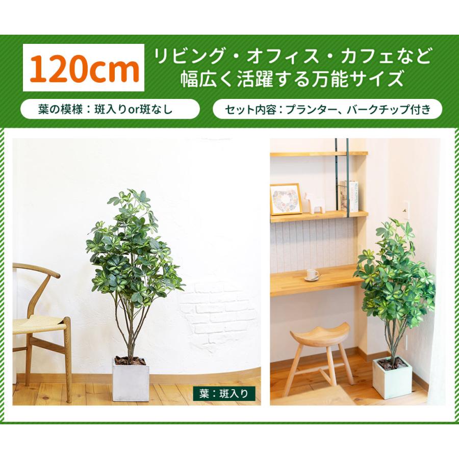 リーベン シェフレラ 40cm フェイクグリーン 小型 観葉植物 ファイバー