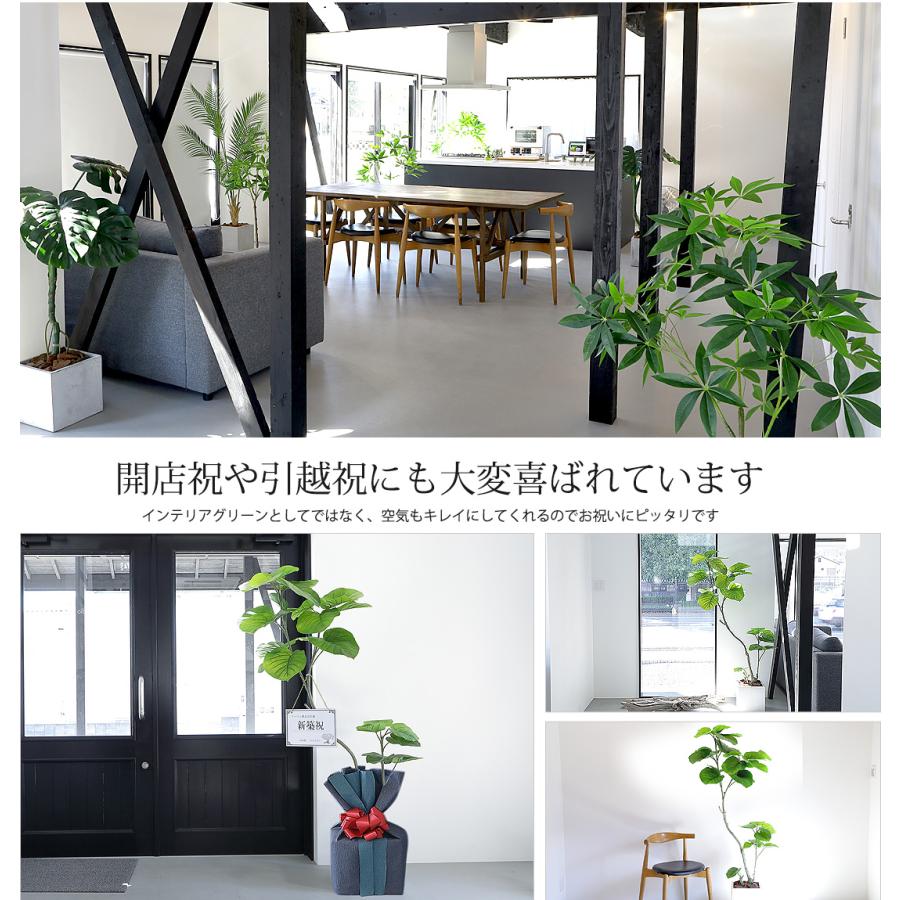 リーベン フェイクグリーン フィカス ウンベラータ 160cm 無 リーベン フェイクグリーン フィカス ウンベラータ 160cm 無