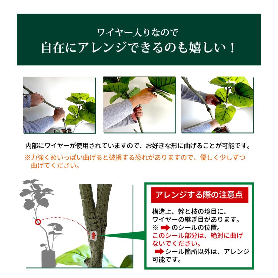 リーベン 【◇ご購入特典あり】フェイクグリーン フィカス