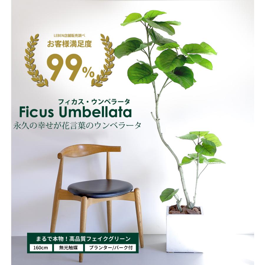 リーベン フェイクグリーン フィカス ウンベラータ 160cm 無 リーベン フェイクグリーン フィカス ウンベラータ 160cm 無