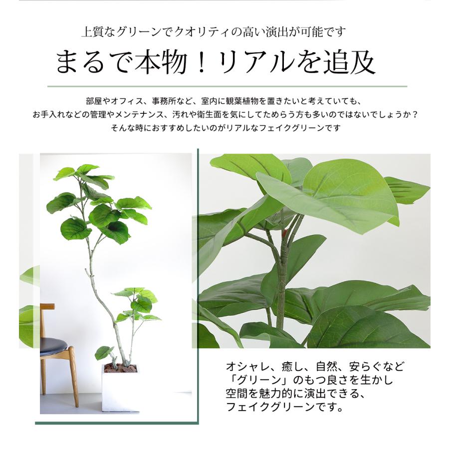 リーベン フェイクグリーン フィカス ウンベラータ 160cm 無 リーベン フェイクグリーン フィカス ウンベラータ 160cm 無
