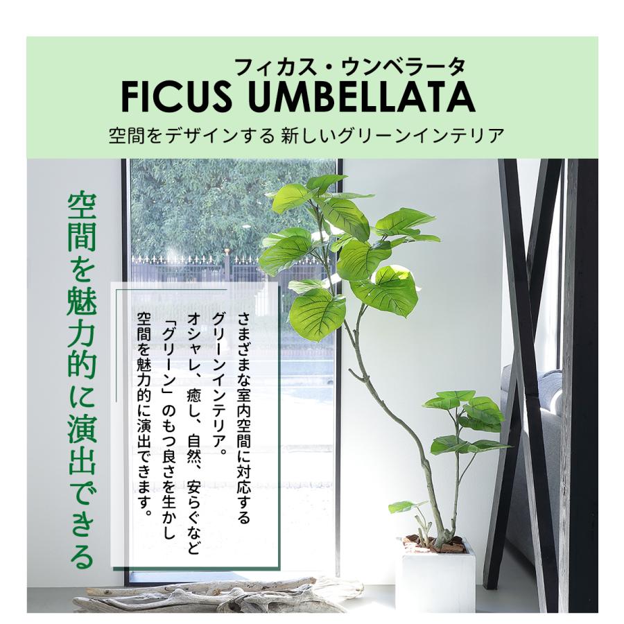 リーベン フェイクグリーン フィカス ウンベラータ 160cm 無 リーベン フェイクグリーン フィカス ウンベラータ 160cm 無