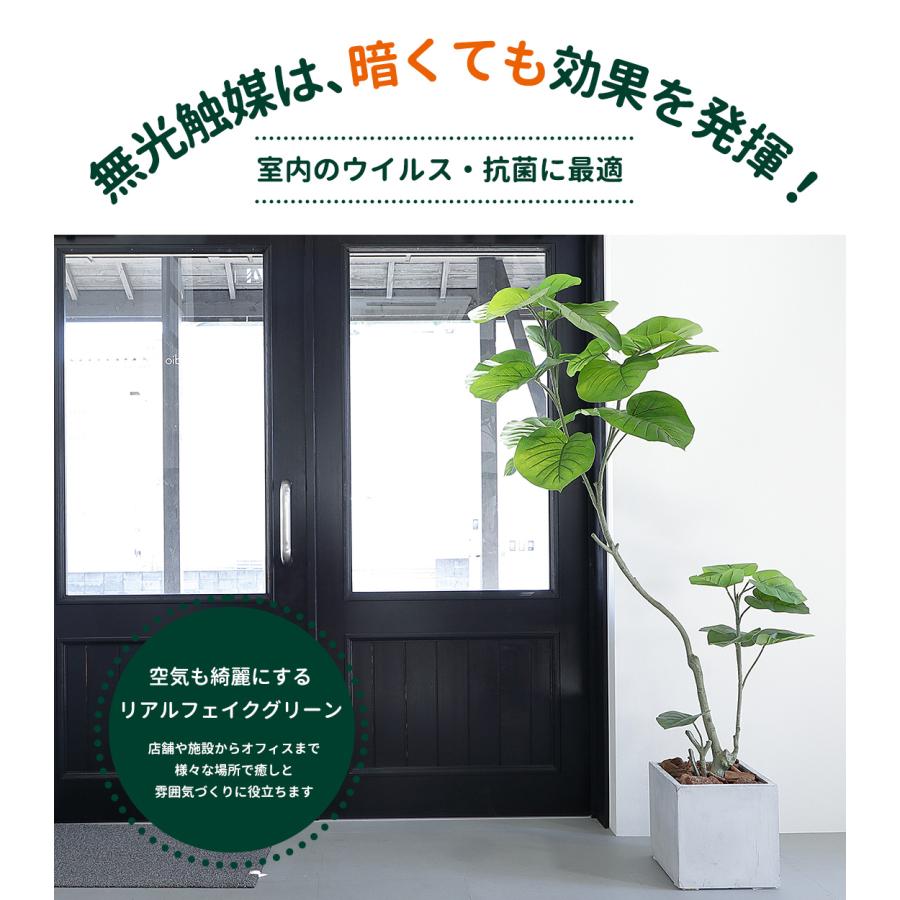 リーベン フェイクグリーン フィカス ウンベラータ 160cm 無 リーベン フェイクグリーン フィカス ウンベラータ 160cm 無