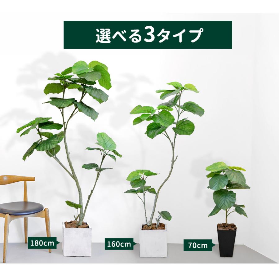 リーベン フェイクグリーン フィカス ウンベラータ 180cm 無光触媒加工
