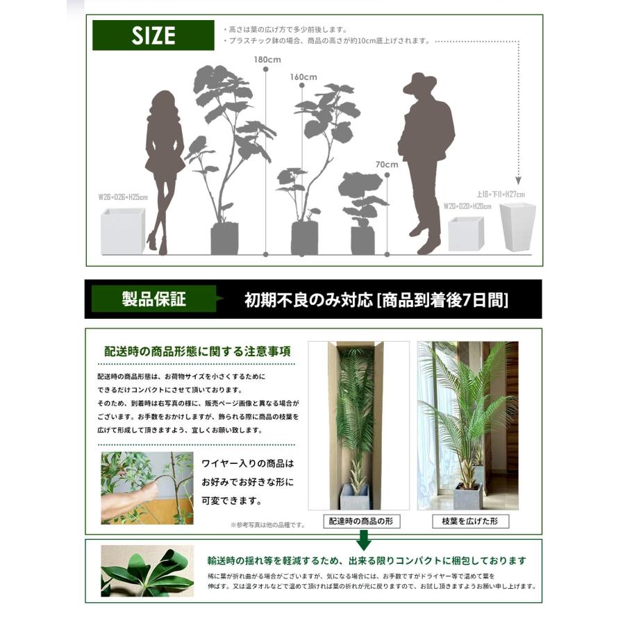 リーベン フェイクグリーン フィカス ウンベラータ 180cm 無光触媒加工