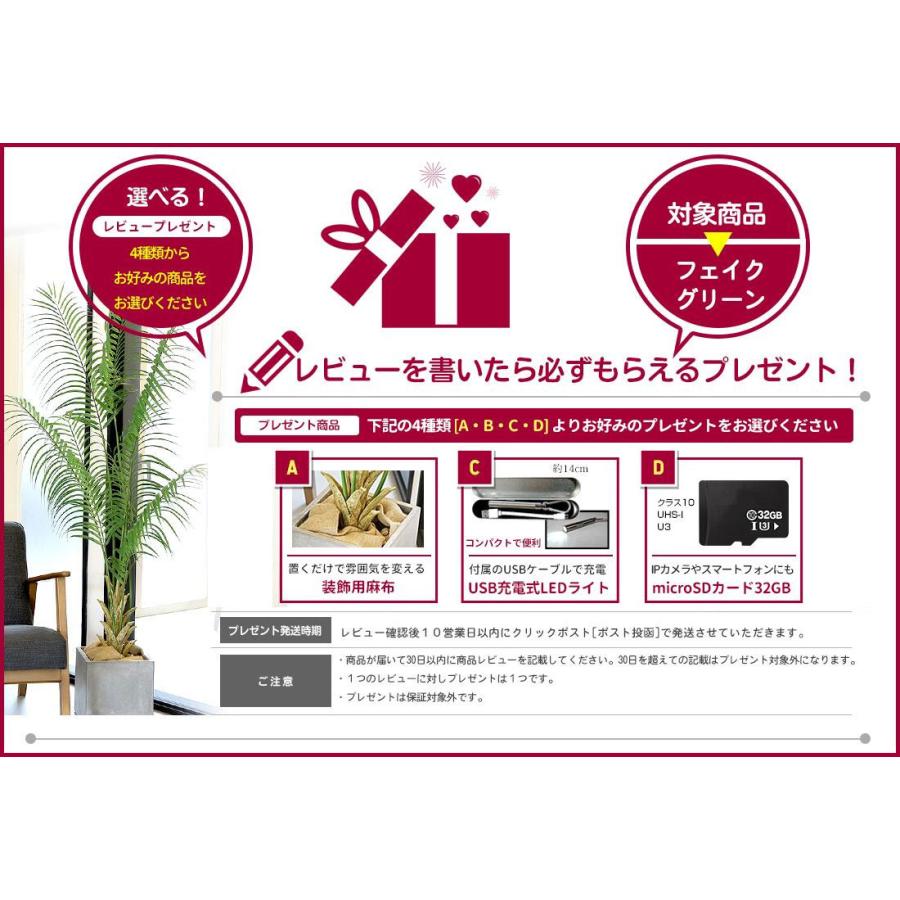 フェイクグリーン フィカス ウンベラータ 180cm   無光触媒加工済 フェイク リアル 光触媒 CT触媒 ファイバークレイ製 プランターの画像