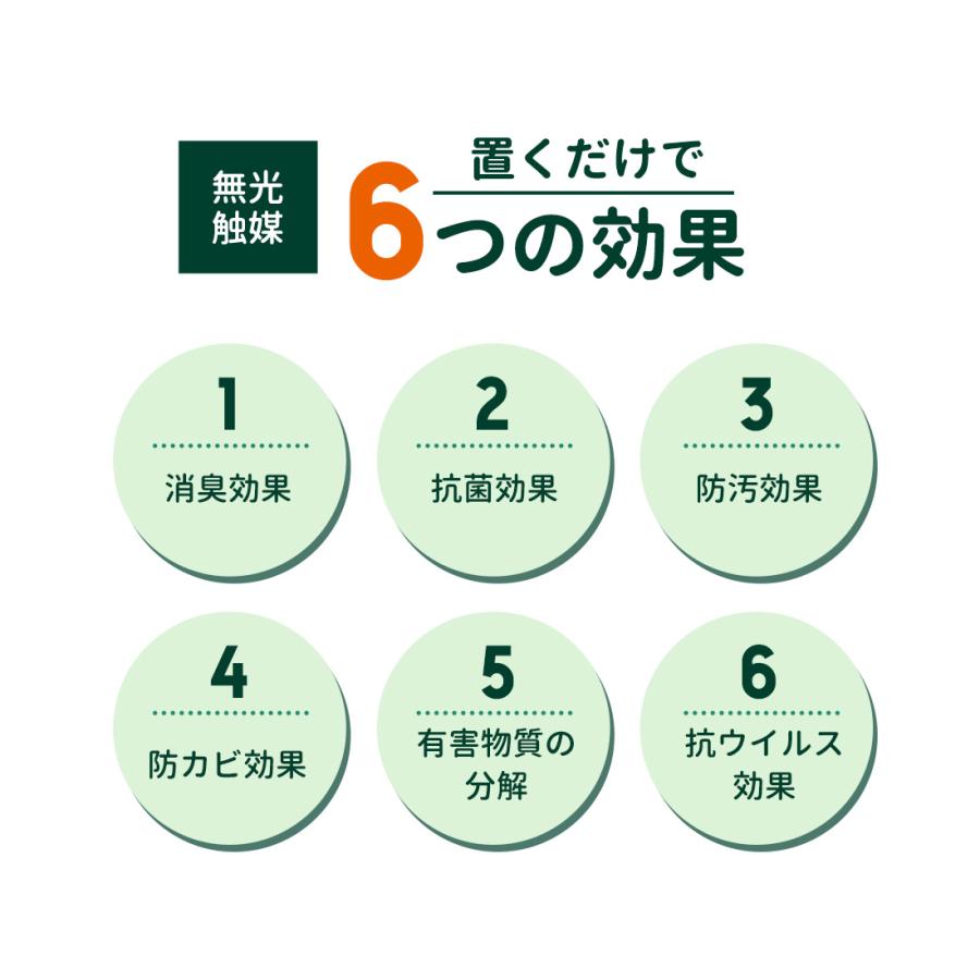 フェイクグリーン フィカス ウンベラータ 180cm   無光触媒加工済 フェイク リアル 光触媒 CT触媒 ファイバークレイ製 プランターの画像