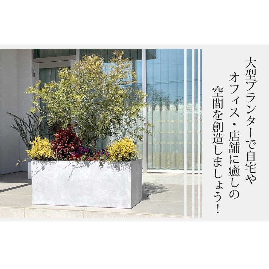 プランター おしゃれ 大型 幅60×奥行30×高さ30cm 長方形 ホワイト グレー 植木鉢 スクエア 屋外 屋内 ガーデニング ファイバークレイプランター｜leben｜09