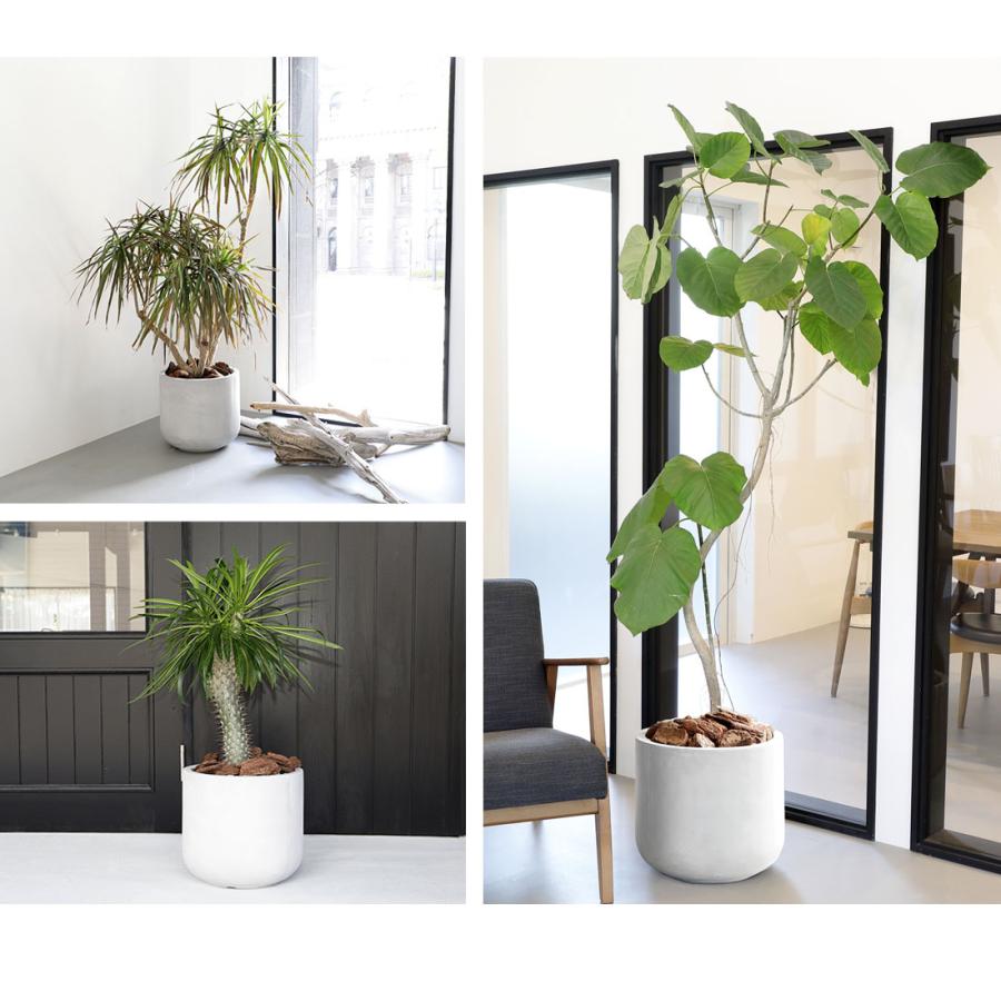 リーベン 植木鉢 プランター 丸型 直径35×高さ32cm 円形 中型 円柱
