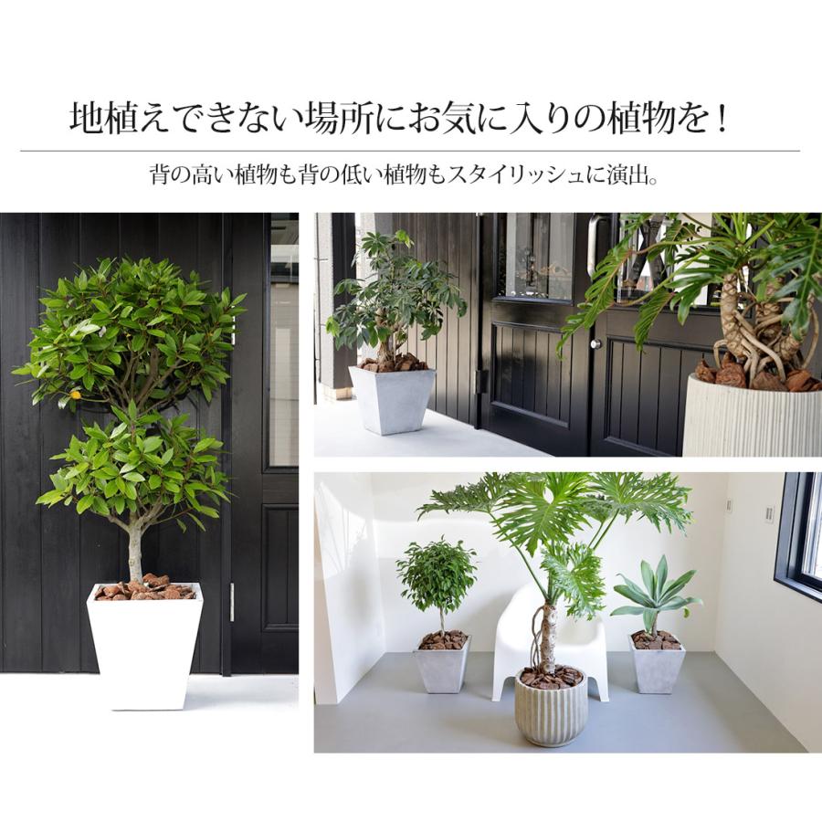 リーベン 植木鉢 プランター ガーデニング用品 ファイバークレイ