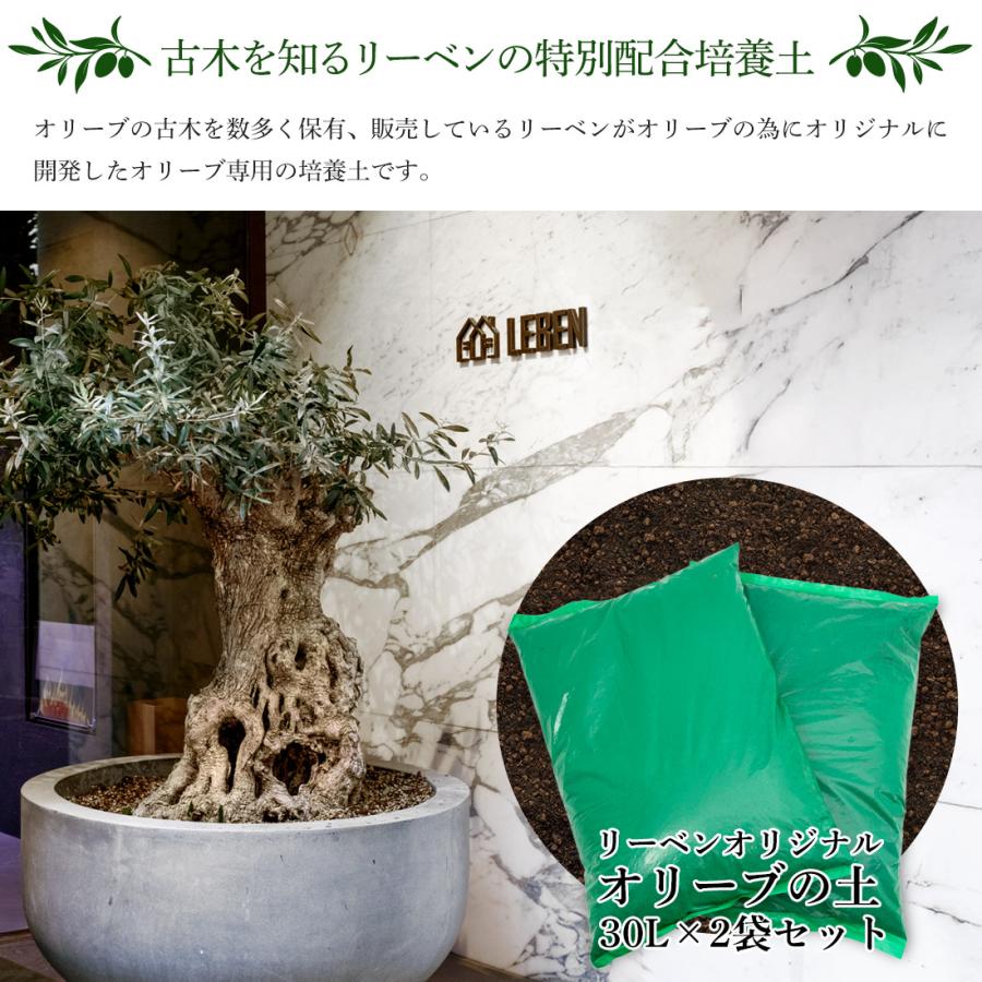 断捨離中　オリーブ38 DSNY Home Waste Basket – Only NY