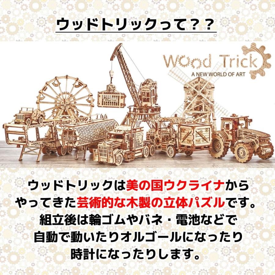 3Dウッドパズル ウッドトリック アメリカ地図 USA 木製パズル｜lebenwood｜12