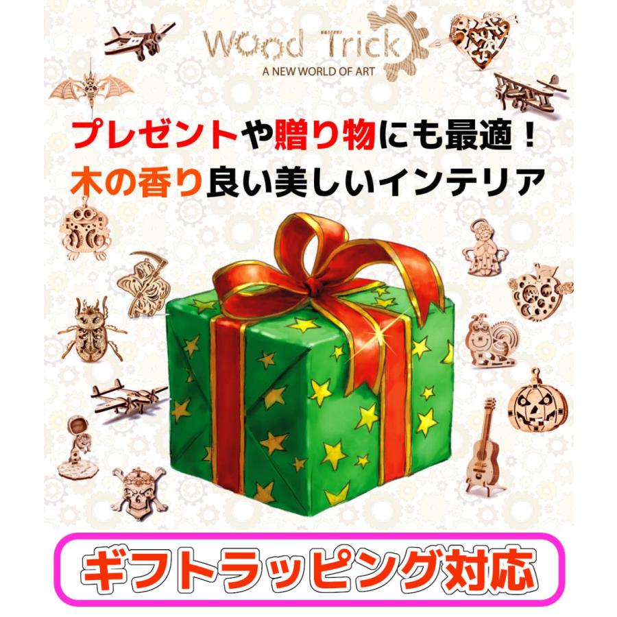 3Dウッドパズル ウッドトリック ミニモデル 虫食いリンゴ 木製パズル｜lebenwood｜14