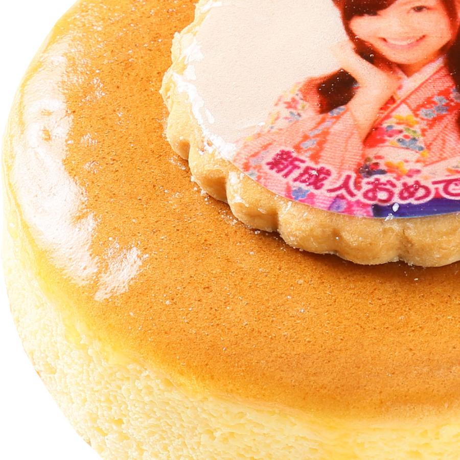 1344円 独創的 写真ケーキ スフレチーズケーキ 7号 フォトケーキ イラスト プリント バースデーケーキ