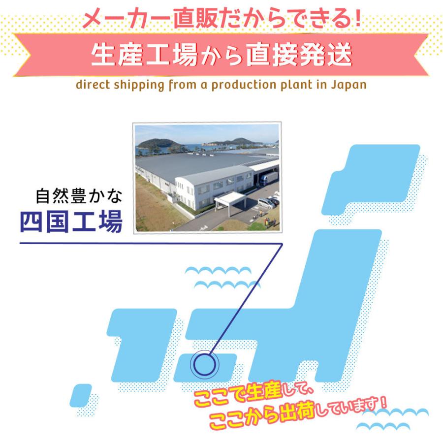 LEC おしりふき おしり拭き 流せるおしりふき 流せる レック