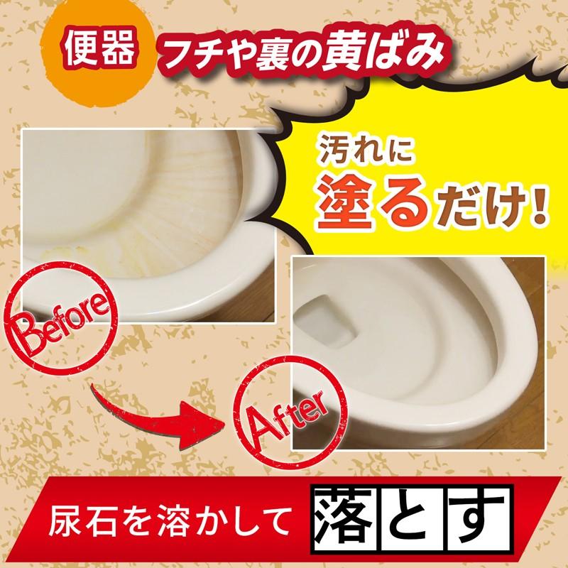 茂木和哉 トイレ 尿石落とし ジェル 100g×2個セット 3つの酸が