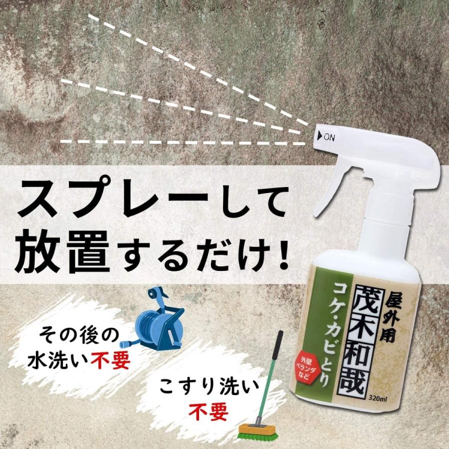 茂木和哉 コケ カビ 除去 3ml スプレー コケ取り カビとり レックダイレクト 通販 Paypayモール