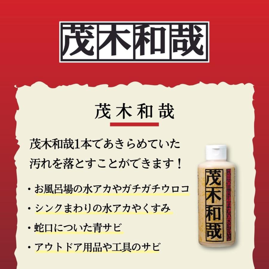 茂木和哉 80ml 水垢取り 水垢取り洗剤 うろこが取れる ウロコ取り 水垢 掃除 レック | LEC | 02