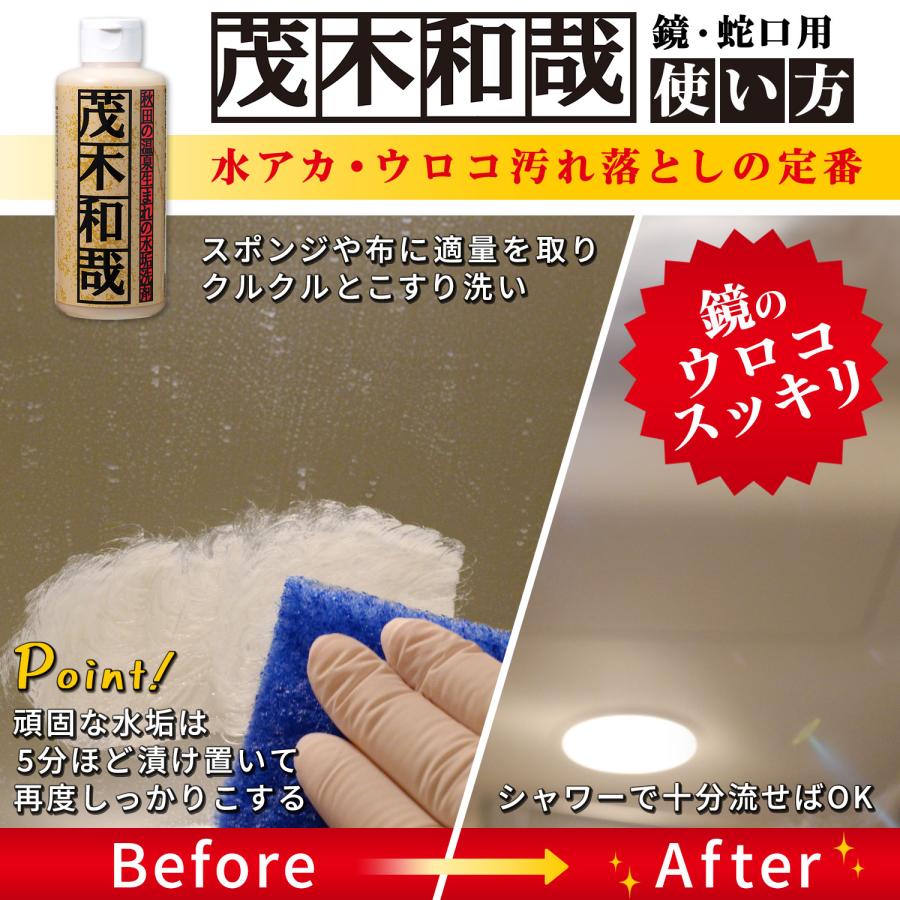 茂木和哉 80ml 水垢取り 水垢取り洗剤 うろこが取れる ウロコ取り 水垢 掃除 レック | LEC | 04