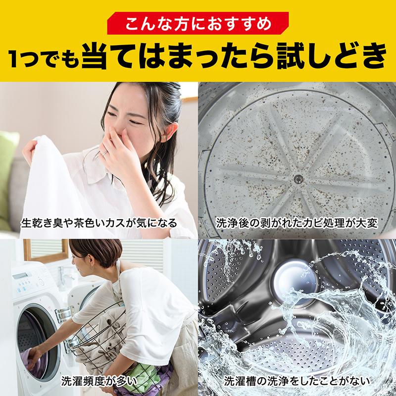 LEC（レック） 茂木和哉 洗濯槽クリーナー 洗濯槽 洗濯機クリーナー