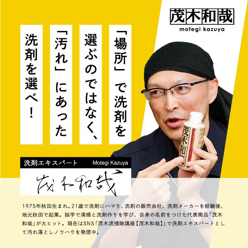 LEC（レック） 茂木和哉 洗濯槽クリーナー 洗濯槽 洗濯機クリーナー