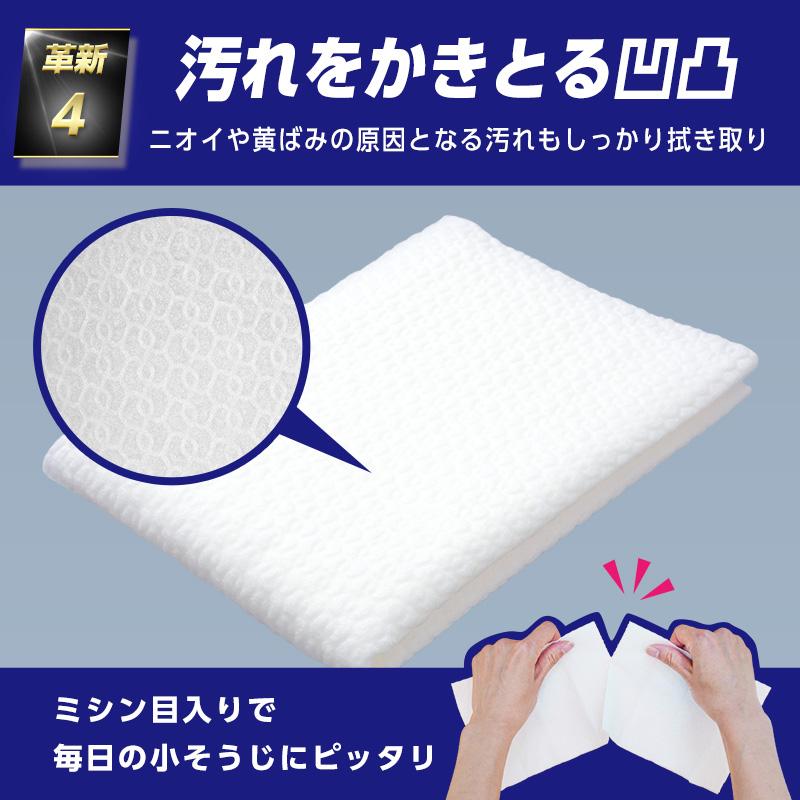 LEC（レック） トイレクリーナー 流せるトイレクリーナー 流せるトイレ