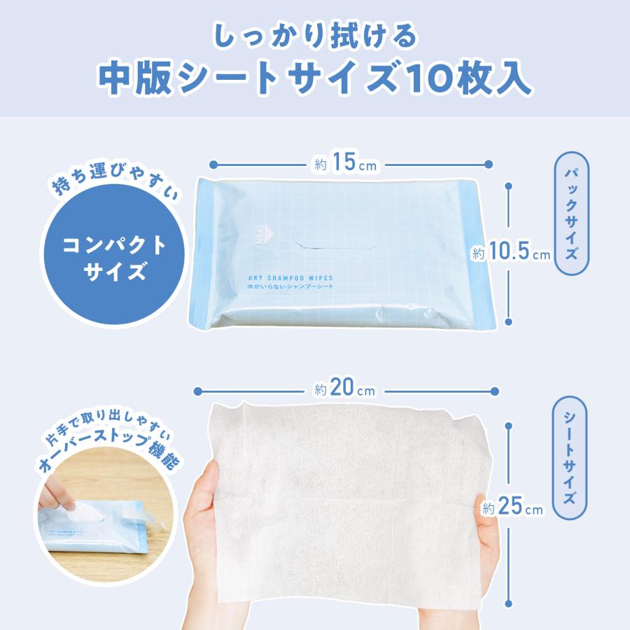 LEC（レック） 水なしシャンプー 水のいらないシャンプー ドライ