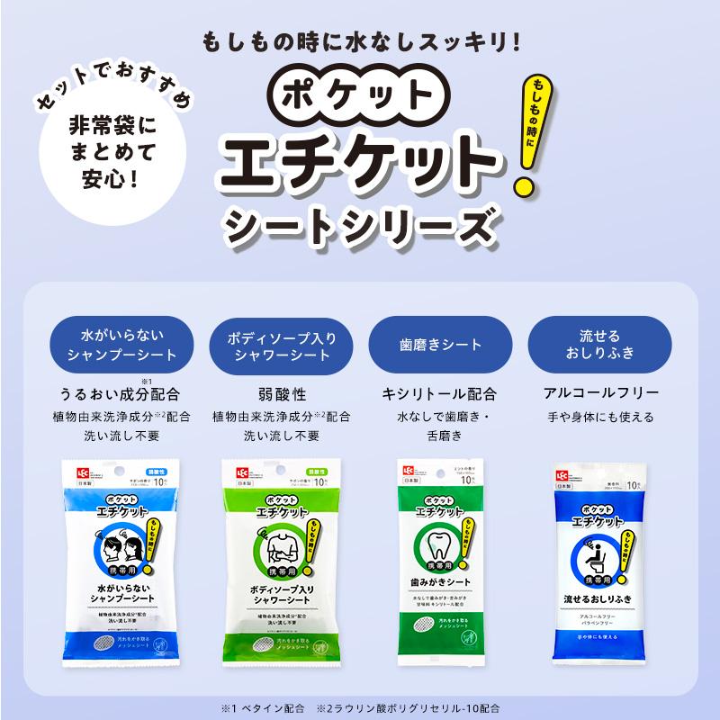LEC（レック） 水なしシャンプー 水のいらないシャンプー ドライ