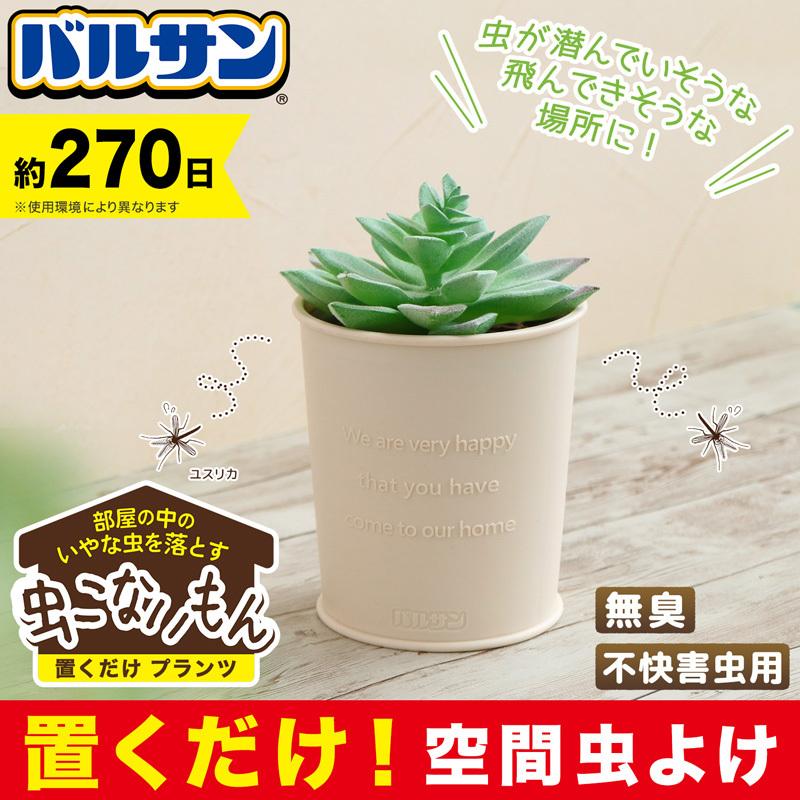 激安通販専門店 バルサン 虫こないもん 置くだけ プランツ 効果270日 1 180円 Aynaelda Com