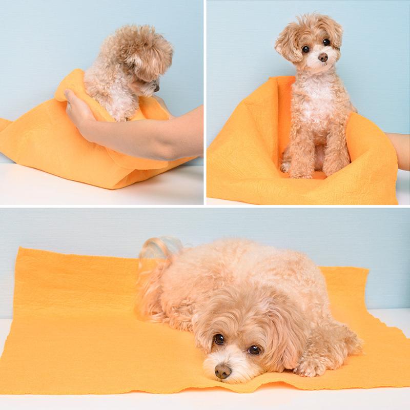 人気ブランド多数対象 すいすいクロス 強力吸水クロス 50 60cm 680円 Whitesforracialequity Org