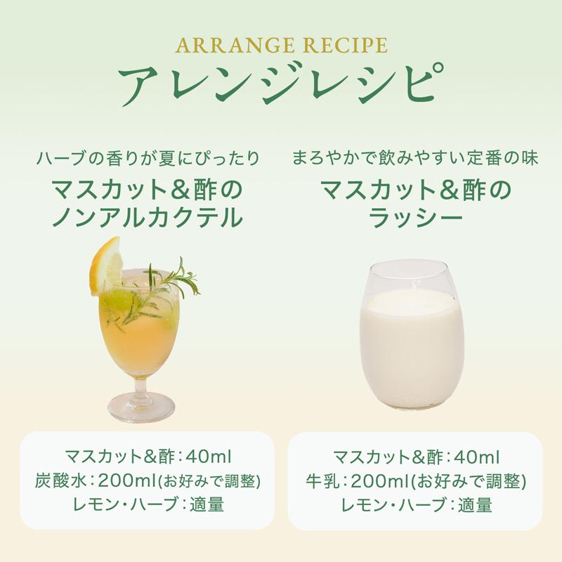 マスカット&酢 濃縮タイプ 720ml×6本セット 飲む美容 マスカット酢 レック_7