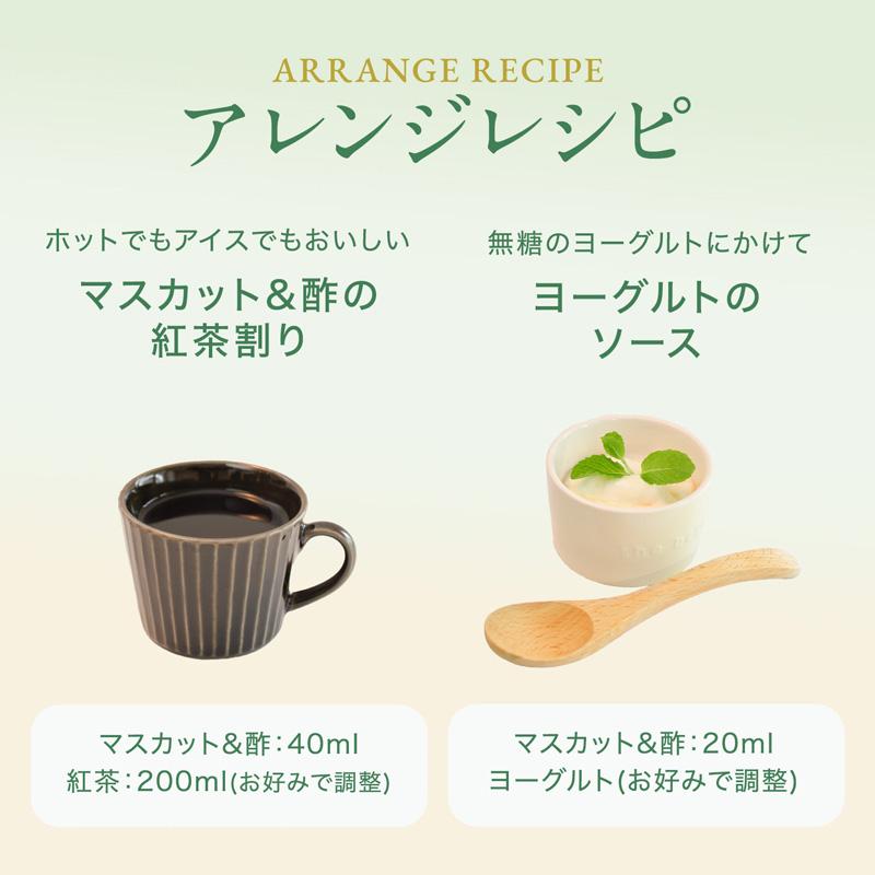 マスカット&酢 濃縮タイプ 720ml×6本セット 飲む美容 マスカット酢 レック_8