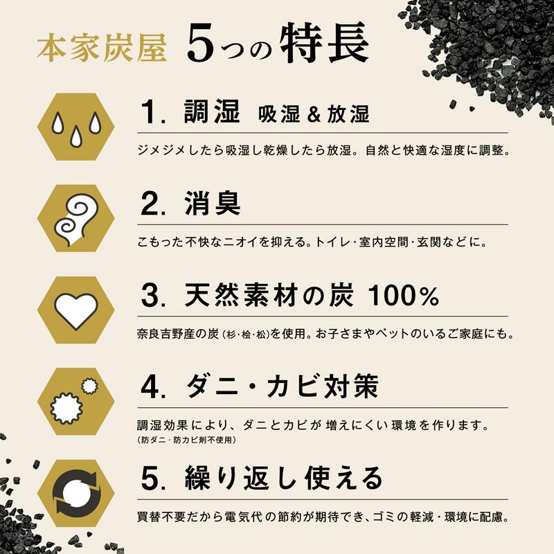 除湿剤 乾燥剤 湿気取り 除湿 繰り返し 湿気とり 大容量 半永久 炭 繰り返し使える除湿剤 クローゼット 靴 スニーカー 調湿 消臭 木炭 本家炭屋 レック | LEC | 06