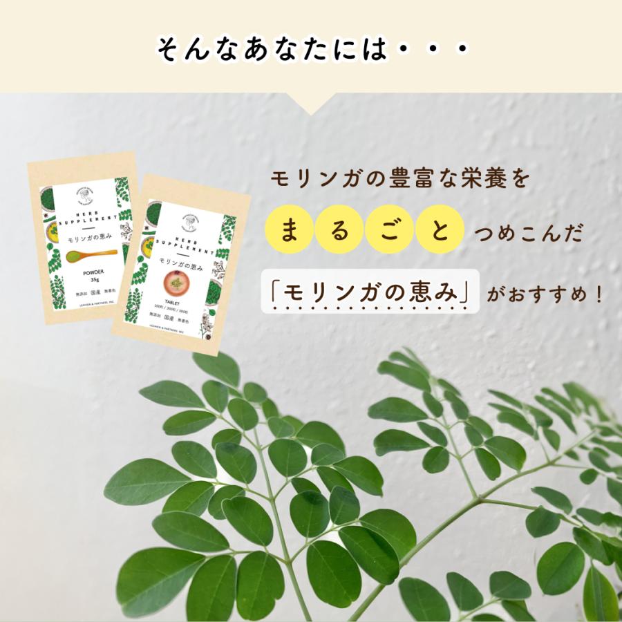 モリンガの恵み/for Human」タブレット100粒入り【メール便送料無料