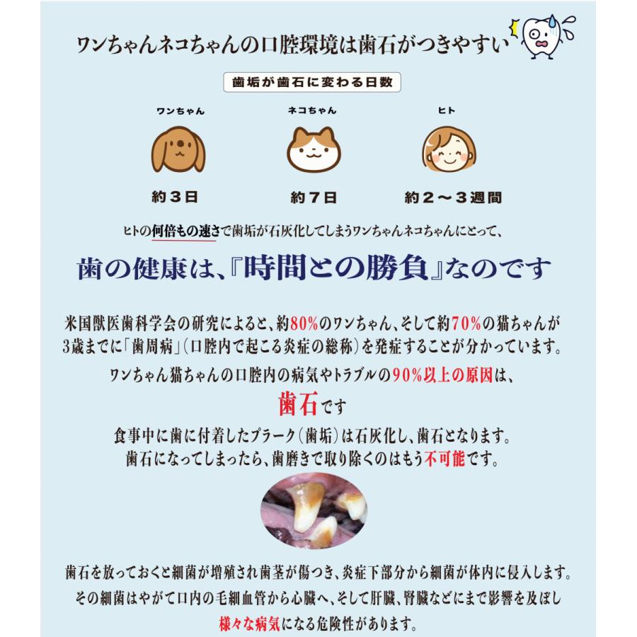 市場 初回購入特典付き デンタルケア 口臭 犬用 かけるだけ 口腔内ケア お手軽 40g ふりかけタイプ プロデン 歯磨き 歯周病予防 パウダー