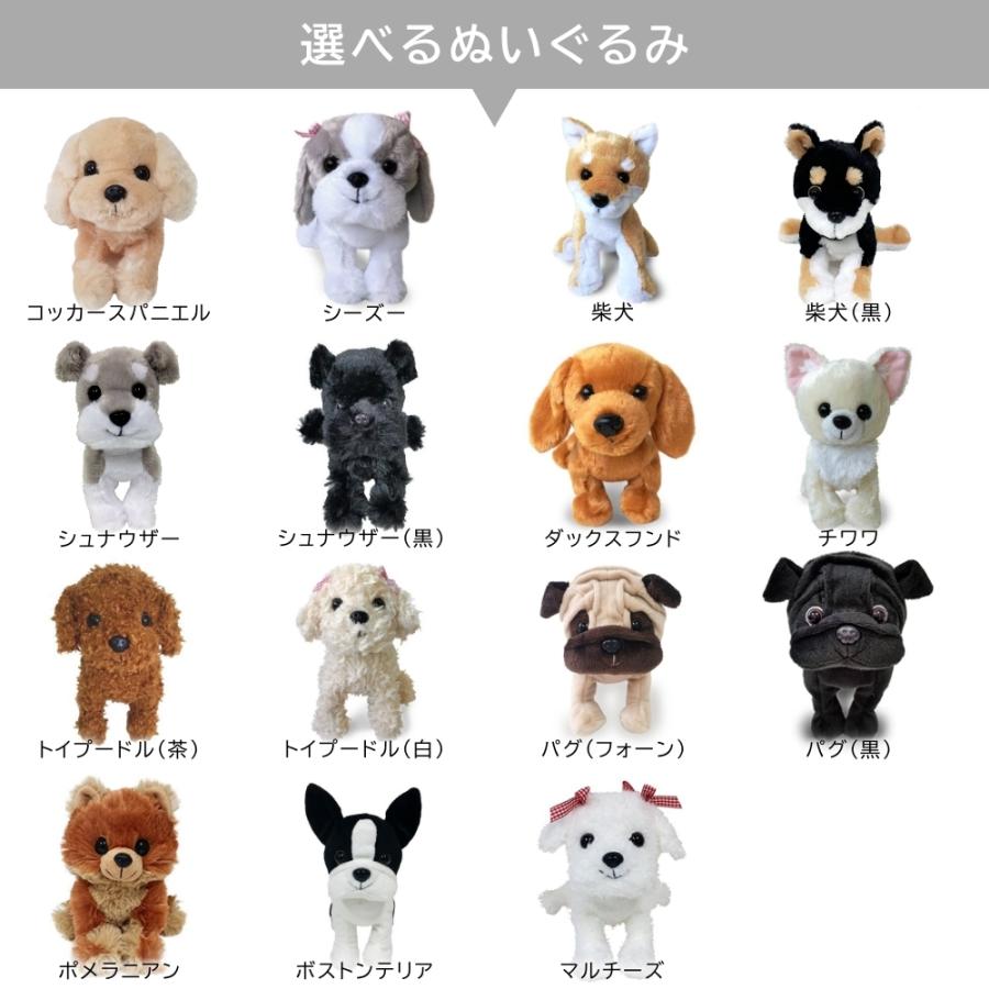 ぬいぐるみ 電報 犬 バルーン電報 好きな 犬種が選べる 結婚式 誕生日 発表会 お礼 退職祝い プチギフト プレゼント 祝電 20110707 3 Lechien 通販 Yahoo ショッピング