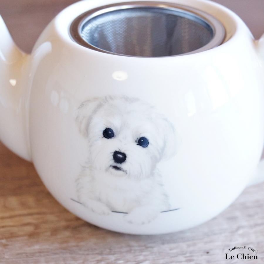 犬 マルチーズ ティーポット 茶こし付き かわいい 急須 お茶 紅茶