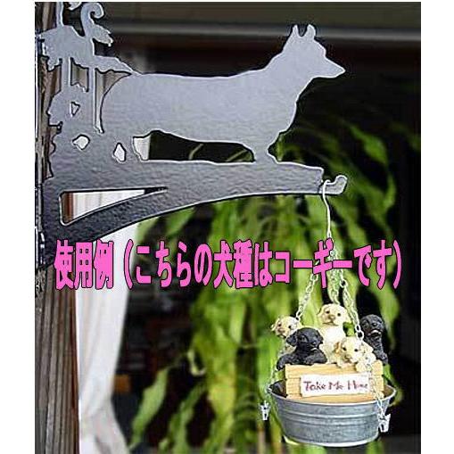 ハンギングブラケット (バーニーズ)(ゴールデン)(シェパード