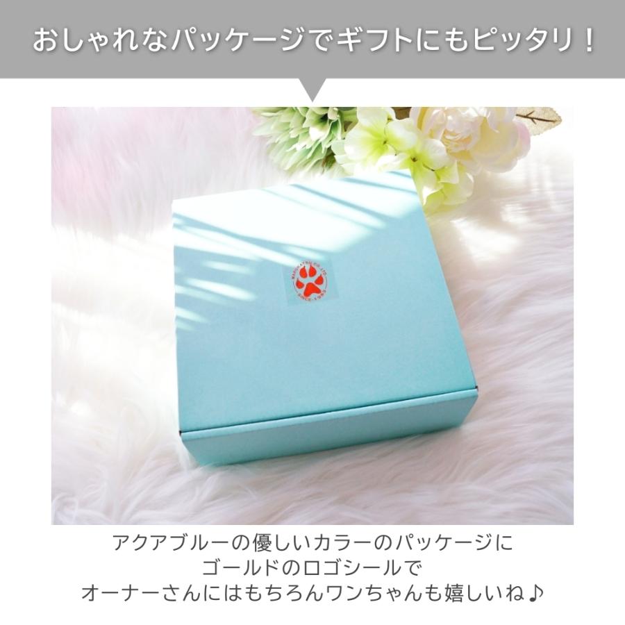 フードボウル 犬 シーズー 日本製 わんコレ 餌 エサ入れ お皿 ギフト