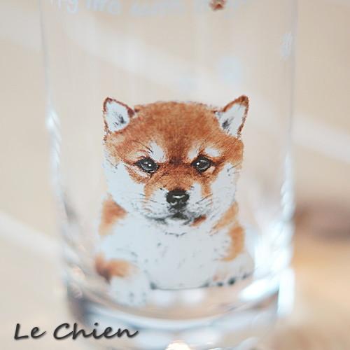 グラス タンブラー(柴犬)犬 ガラスのコップ 日本製 230cc わんコレ