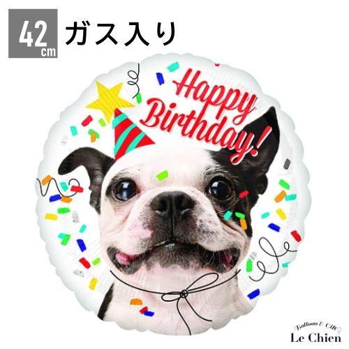 ヘリウムガス入り 誕生日 Happy Birthday Dog バルーン バースデー パーティー サプライズ 犬 わんちゃん フレンチブルドッグ 風船 飾り付け Ang Lechien 通販 Yahoo ショッピング